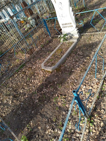 Токарская Анна Михайловна