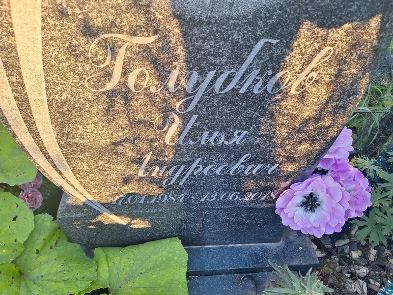 Голубков