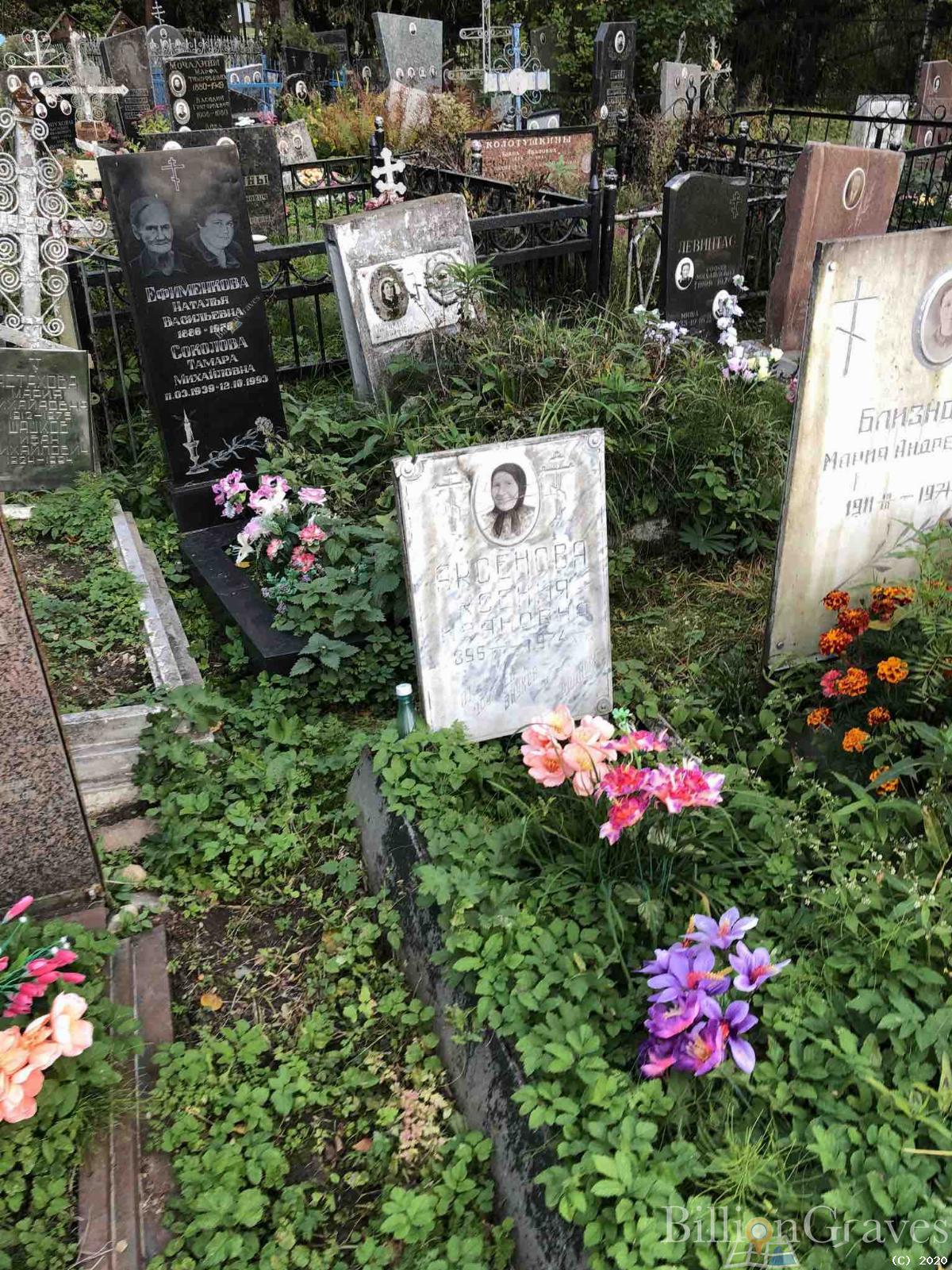 Аксенова Ксения Ивановна