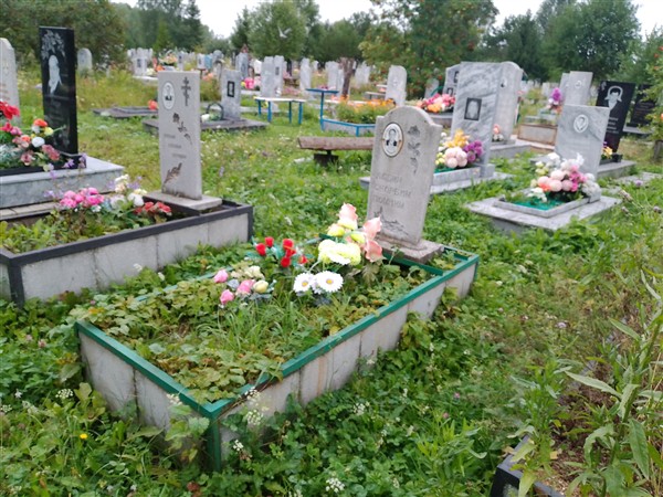 Залогина Ольга Васильевна