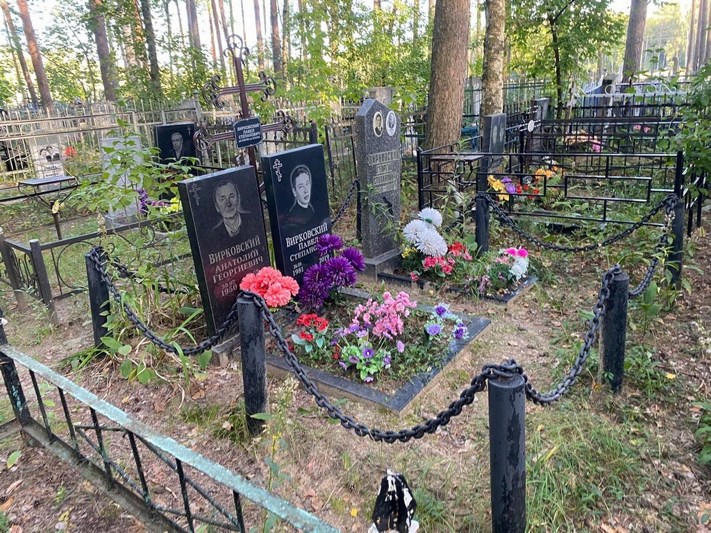 Вирковский Анатолий Георгиевич