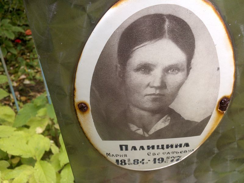 Палицина
