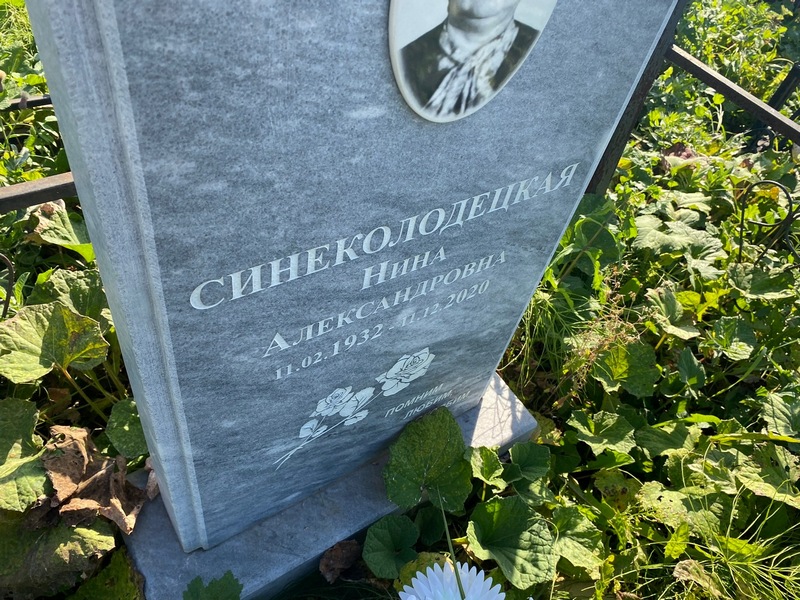 Синеколодецкая