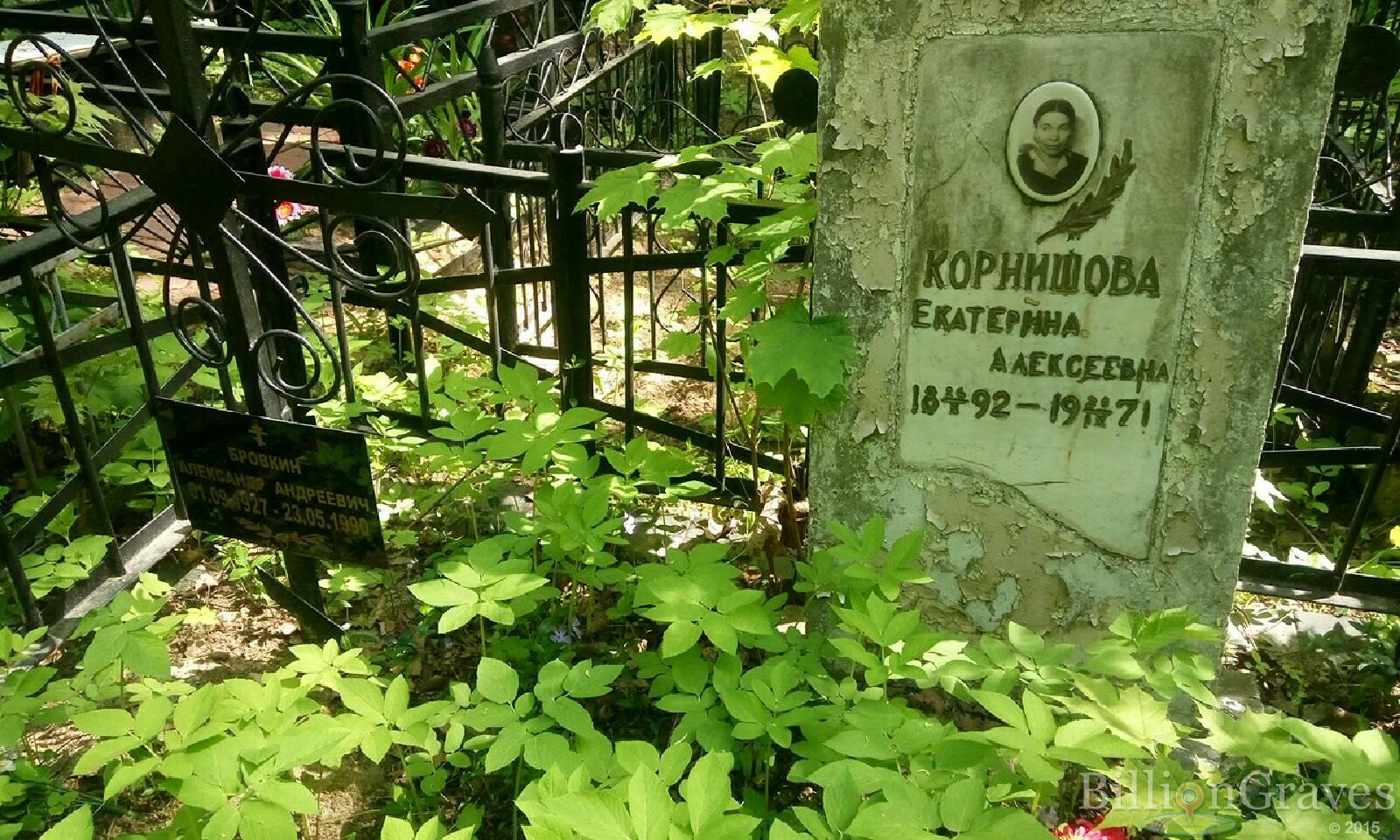 корнишова екатерина алексеевна