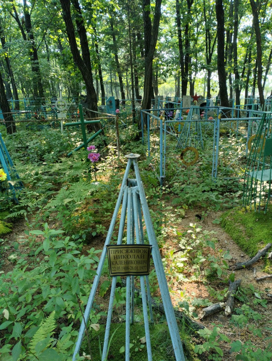 Присяжнюк Николай Каленикович