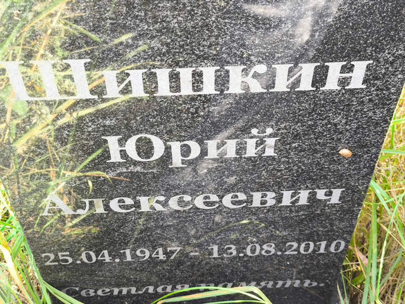 Шишкин