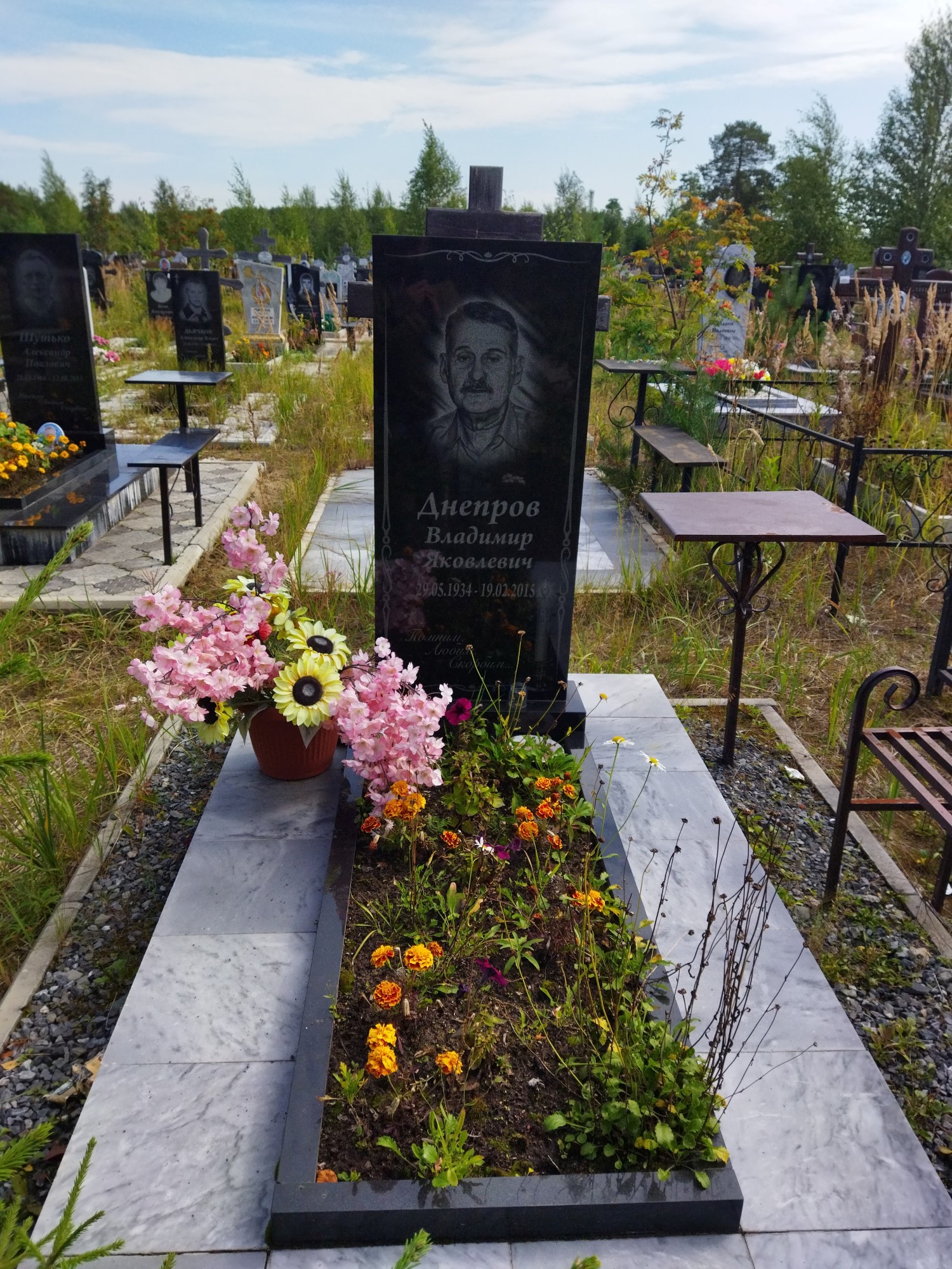 Днепров Владимир Яковлевич