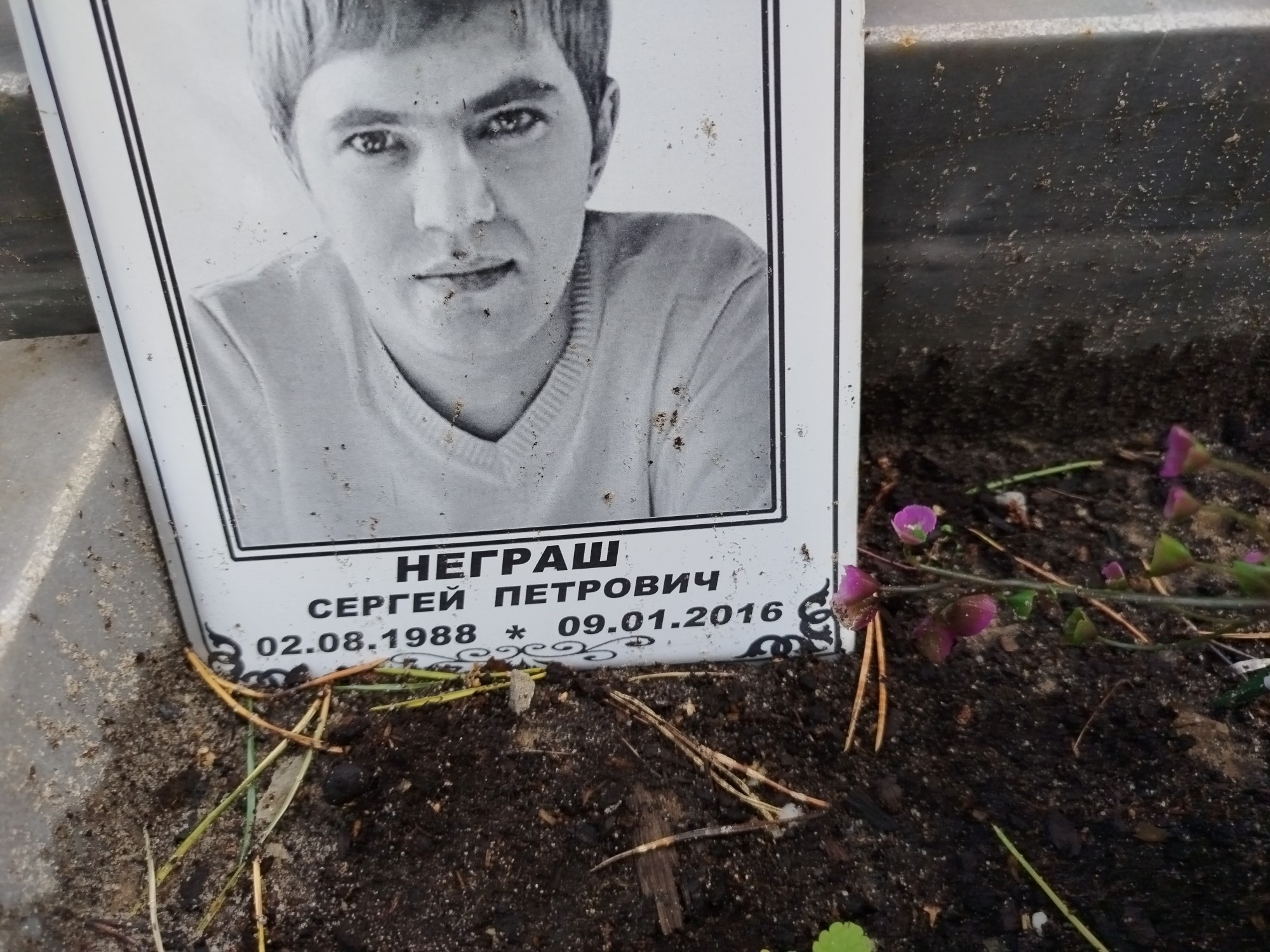 Неграш Сергей Петрович
