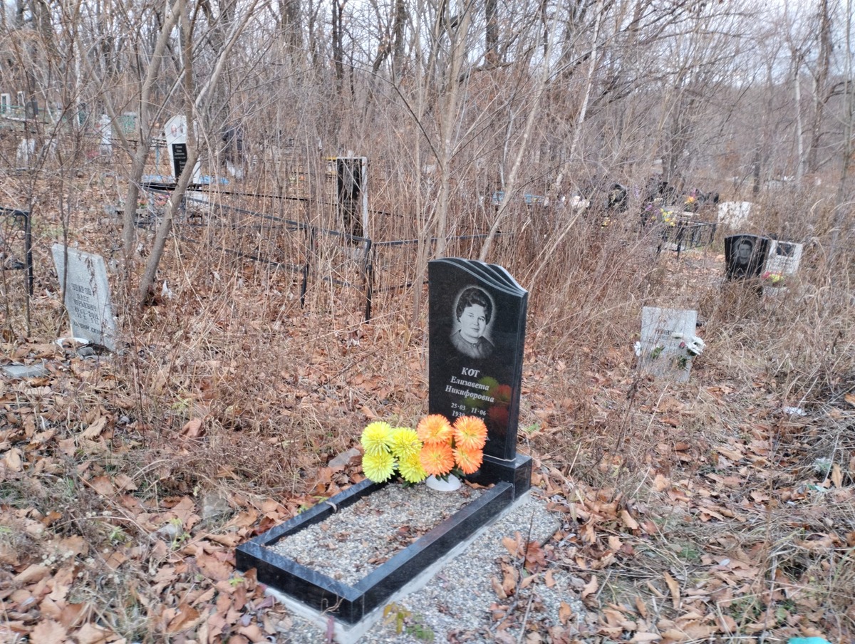Кот Елизавета Никифоровна
