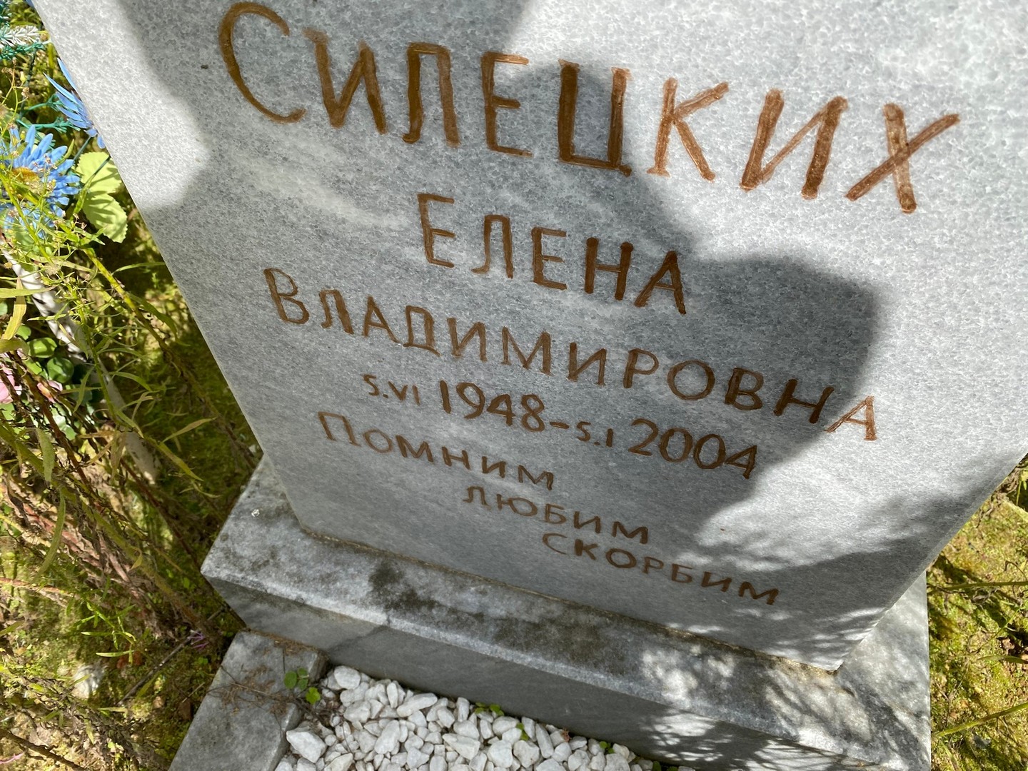 Силецких
