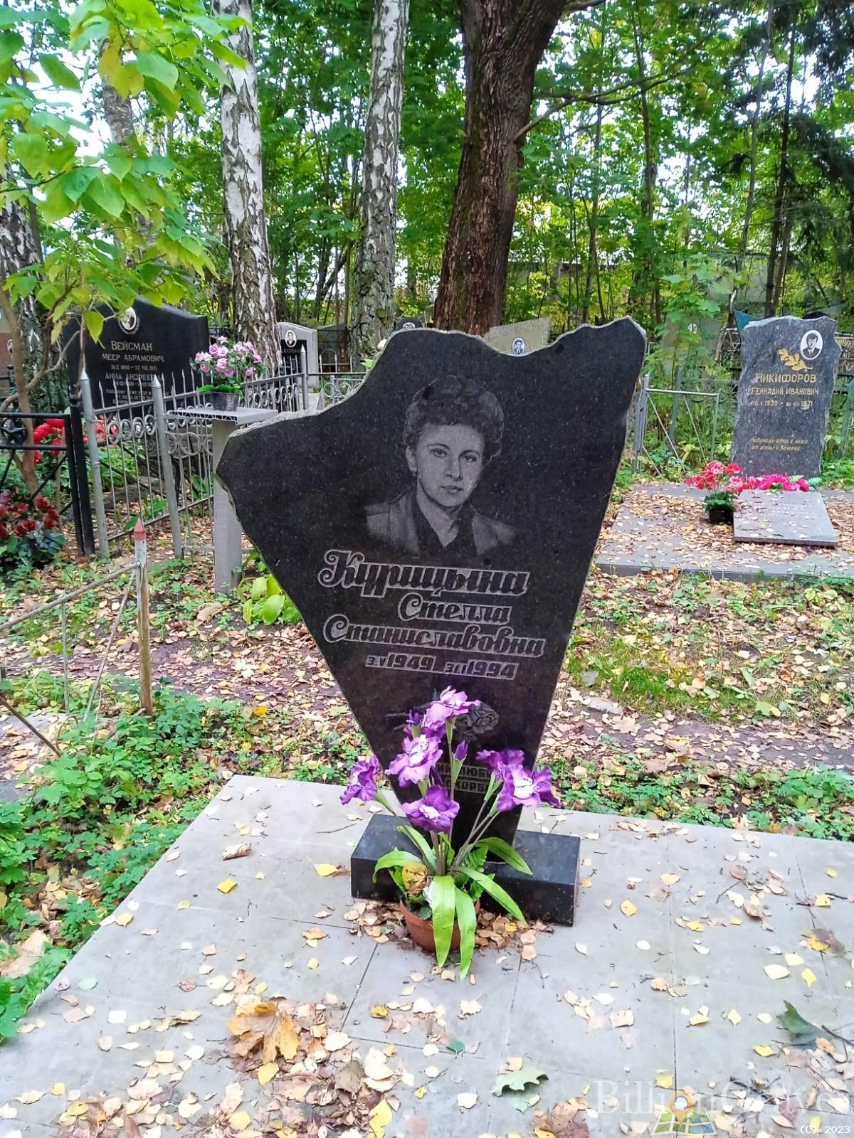 Курицына Стелла Станиславовна