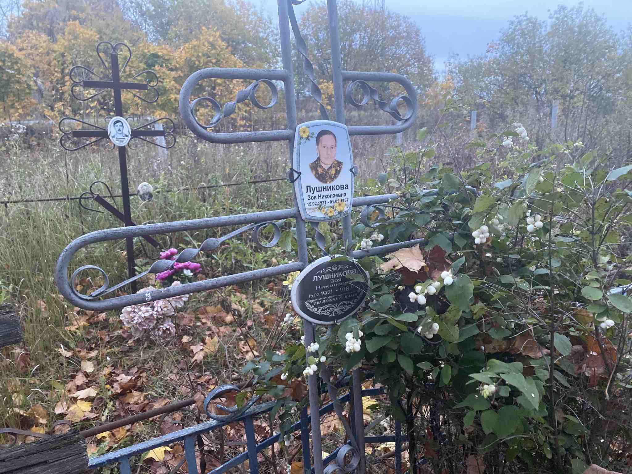 Лушникова Зоя Николаевна