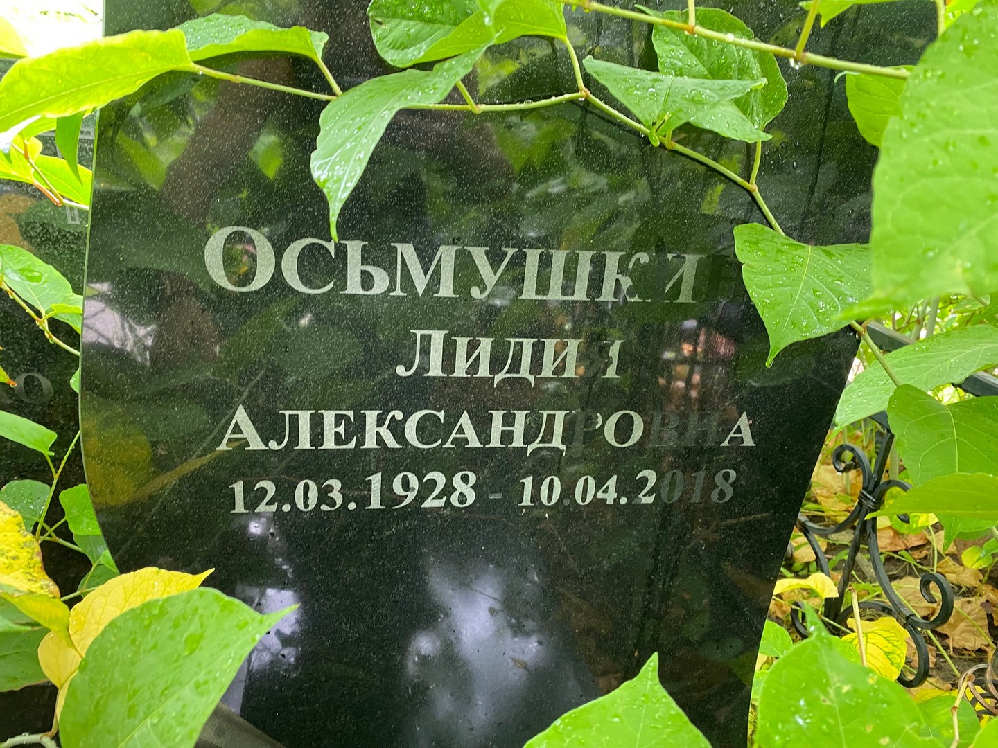 Осьмушкина