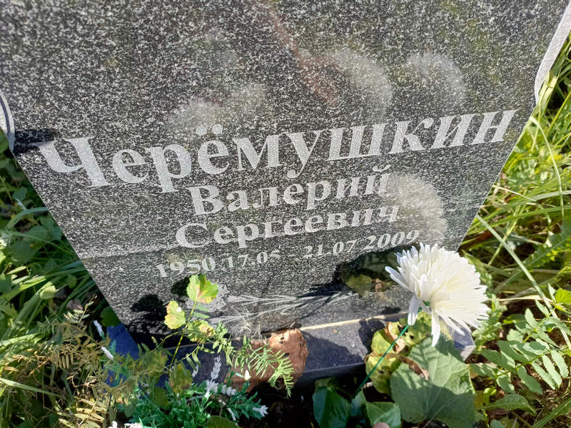 Черемушкин