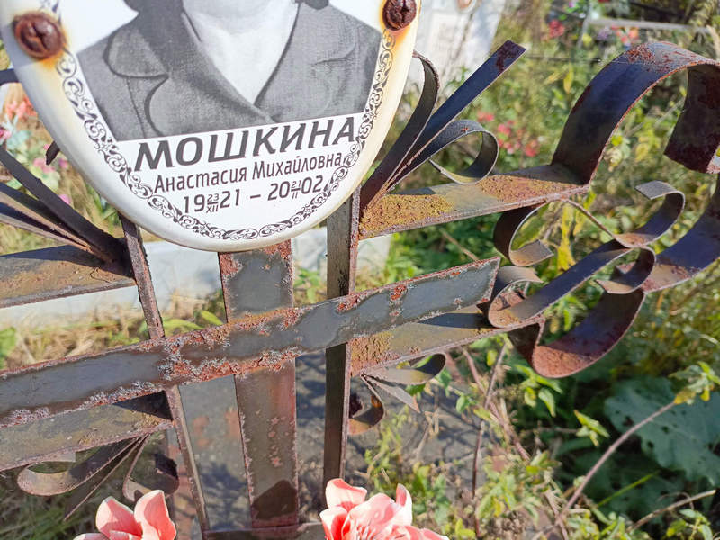Мошкина Анастасия Михайловна
