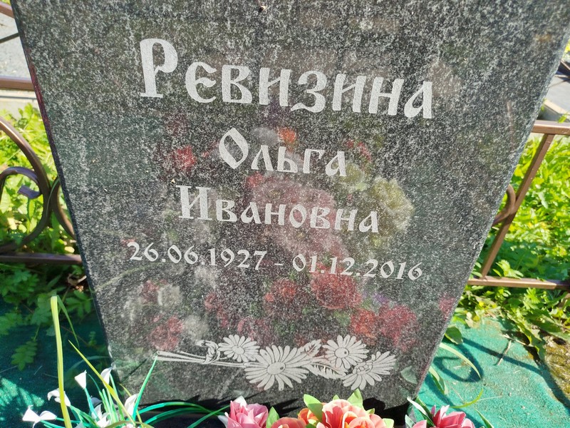 Ревизина
