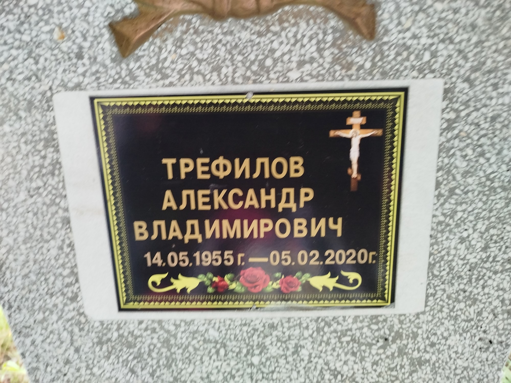 Трефилов Александр Владимирович