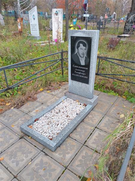 Синельников Александр Тимофеевич