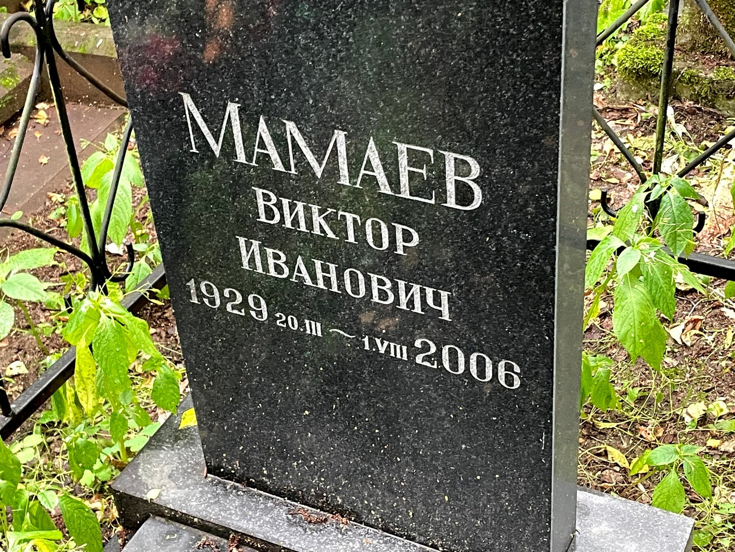Мамаев