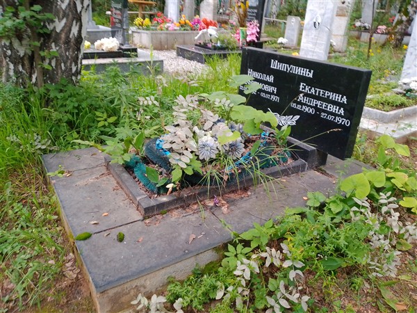 Шипулина Екатерина Андреевна