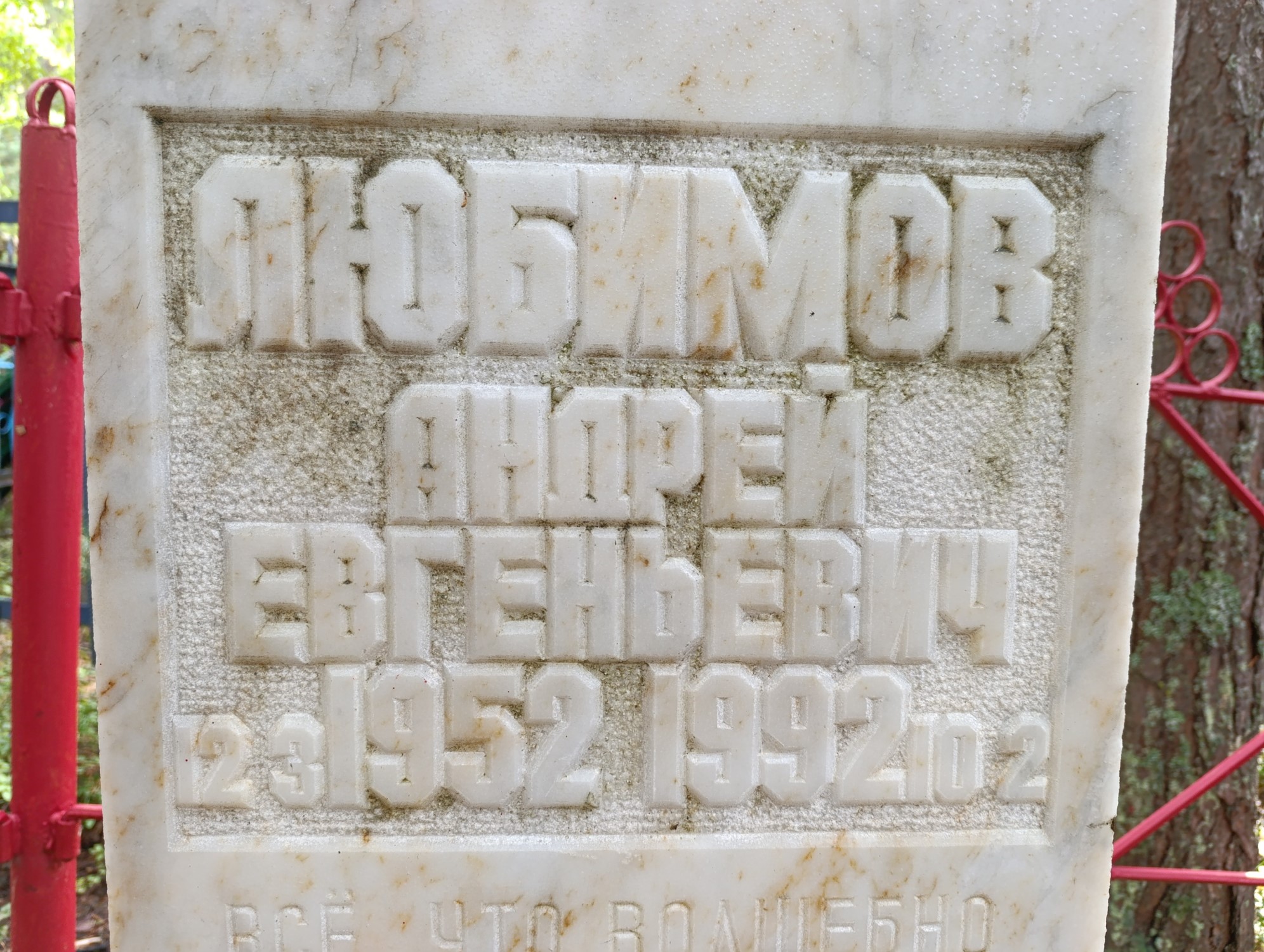 Любимов Андрей Евгеньевич