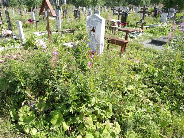 Злоказий Вера Львовна
