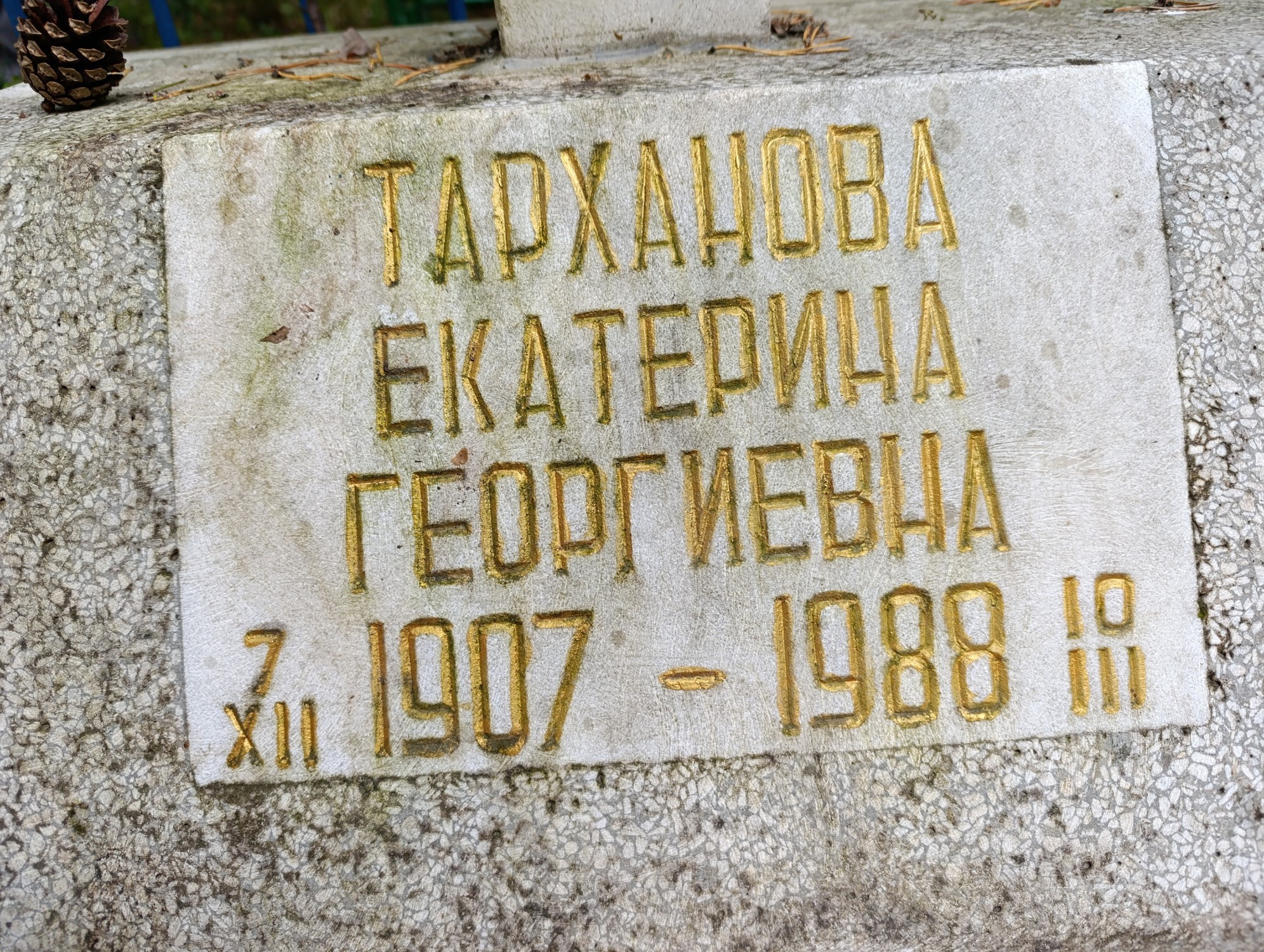Тарханова Екатерина Георгиевна