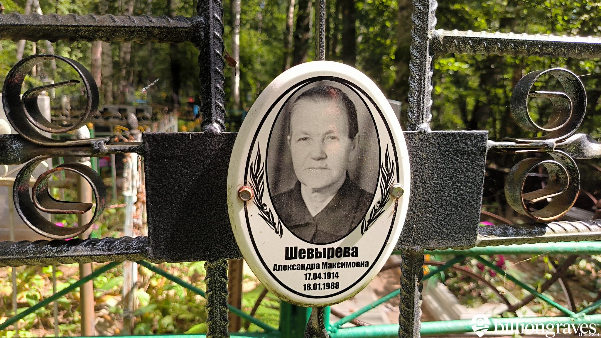 Шевырева Александра Максимовна