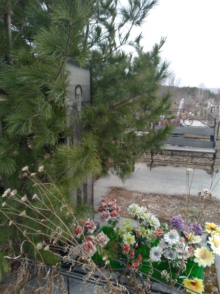 Завольский Владимир Петрович