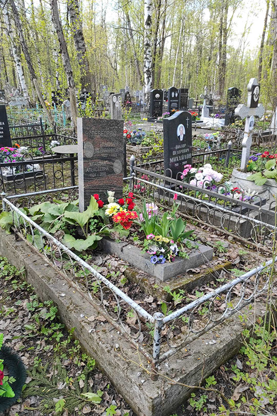 Лебедев Владимир Вениаминович