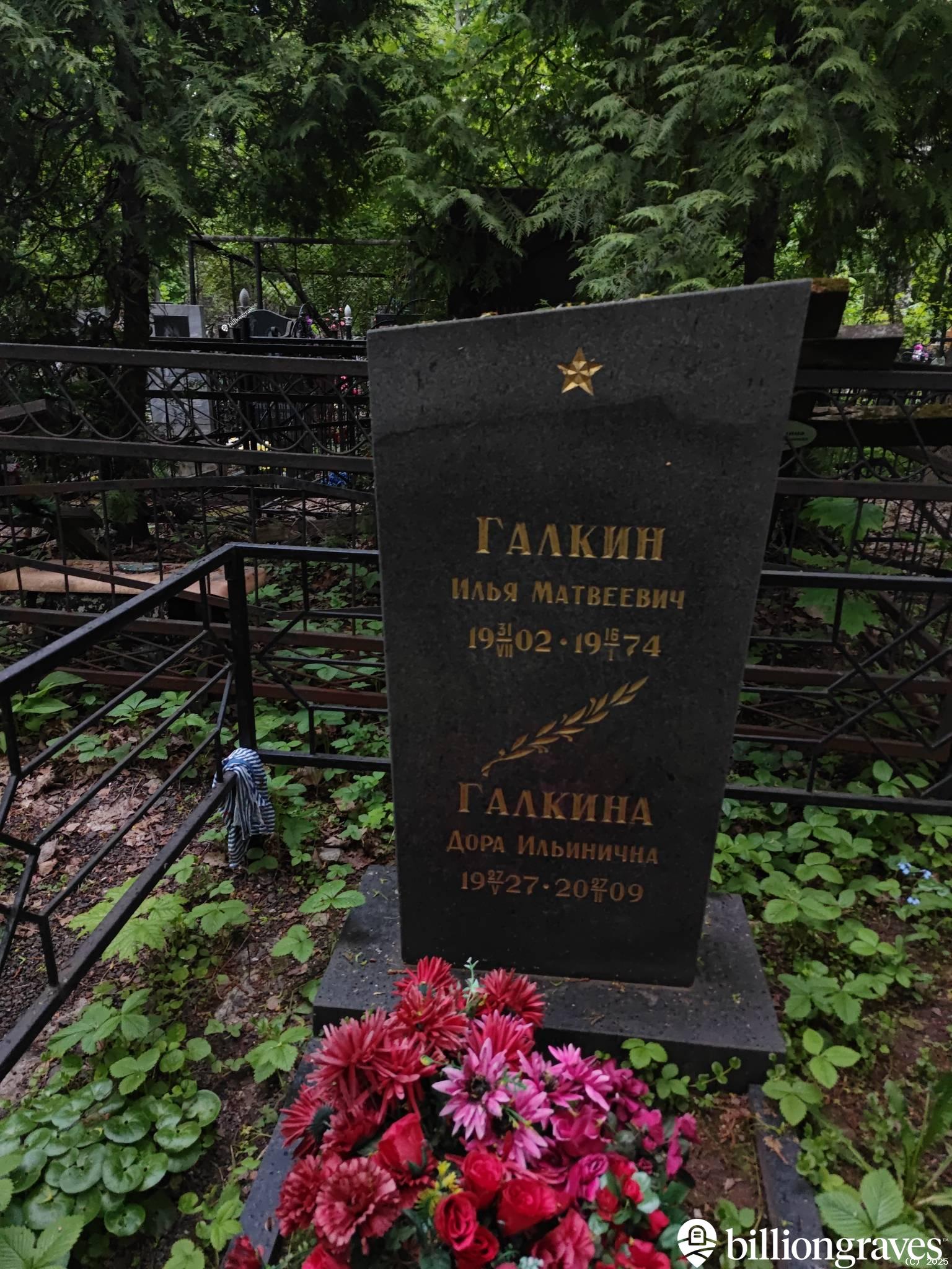 Галкина Дора Ильинична
