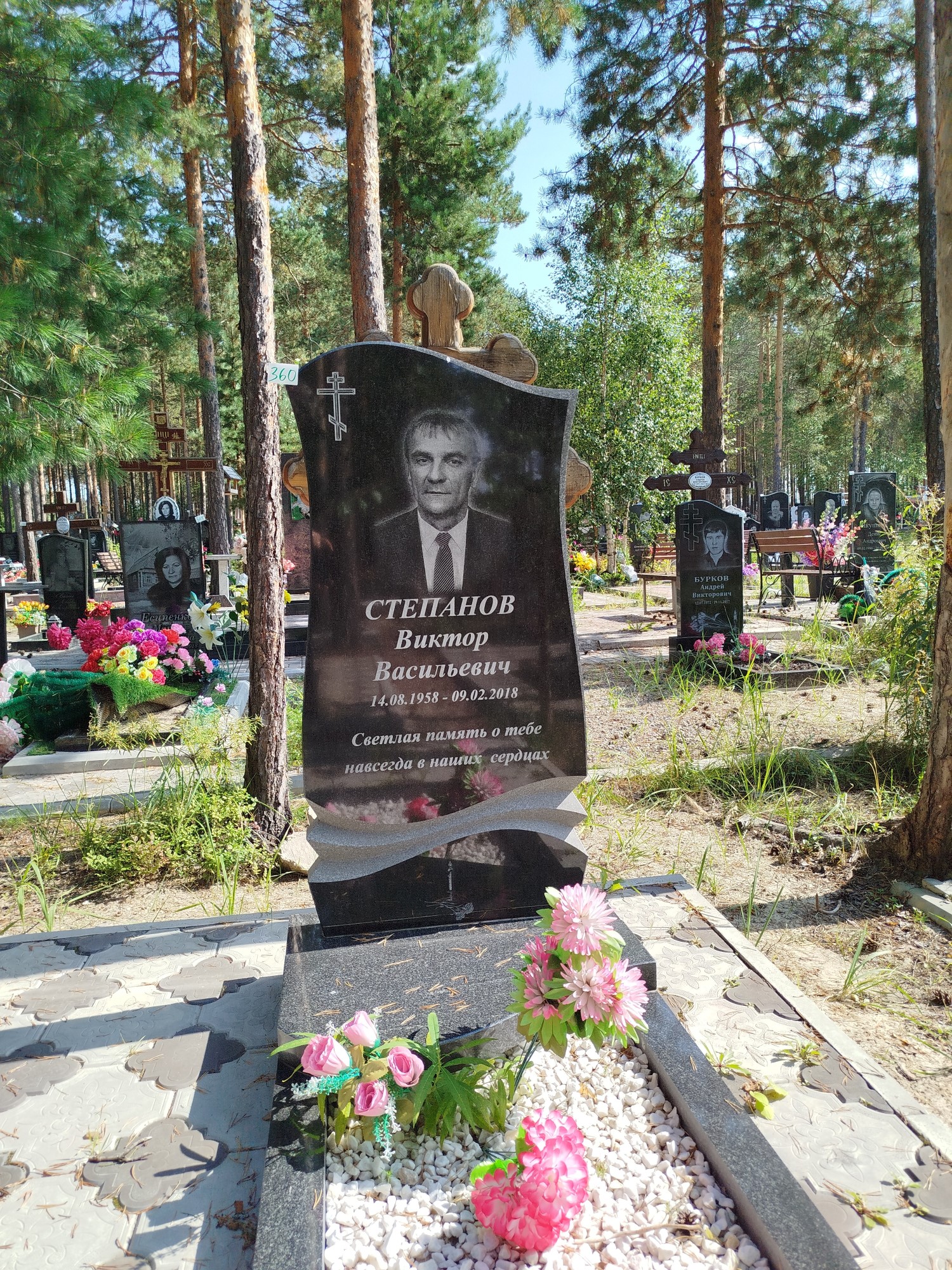 Степанов Виктор Васильевич