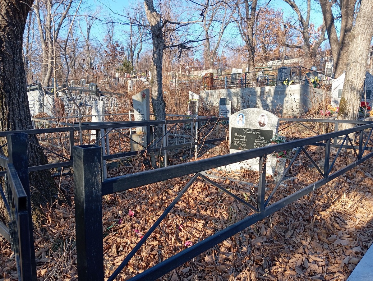 Павлов Владимир Васильевич
