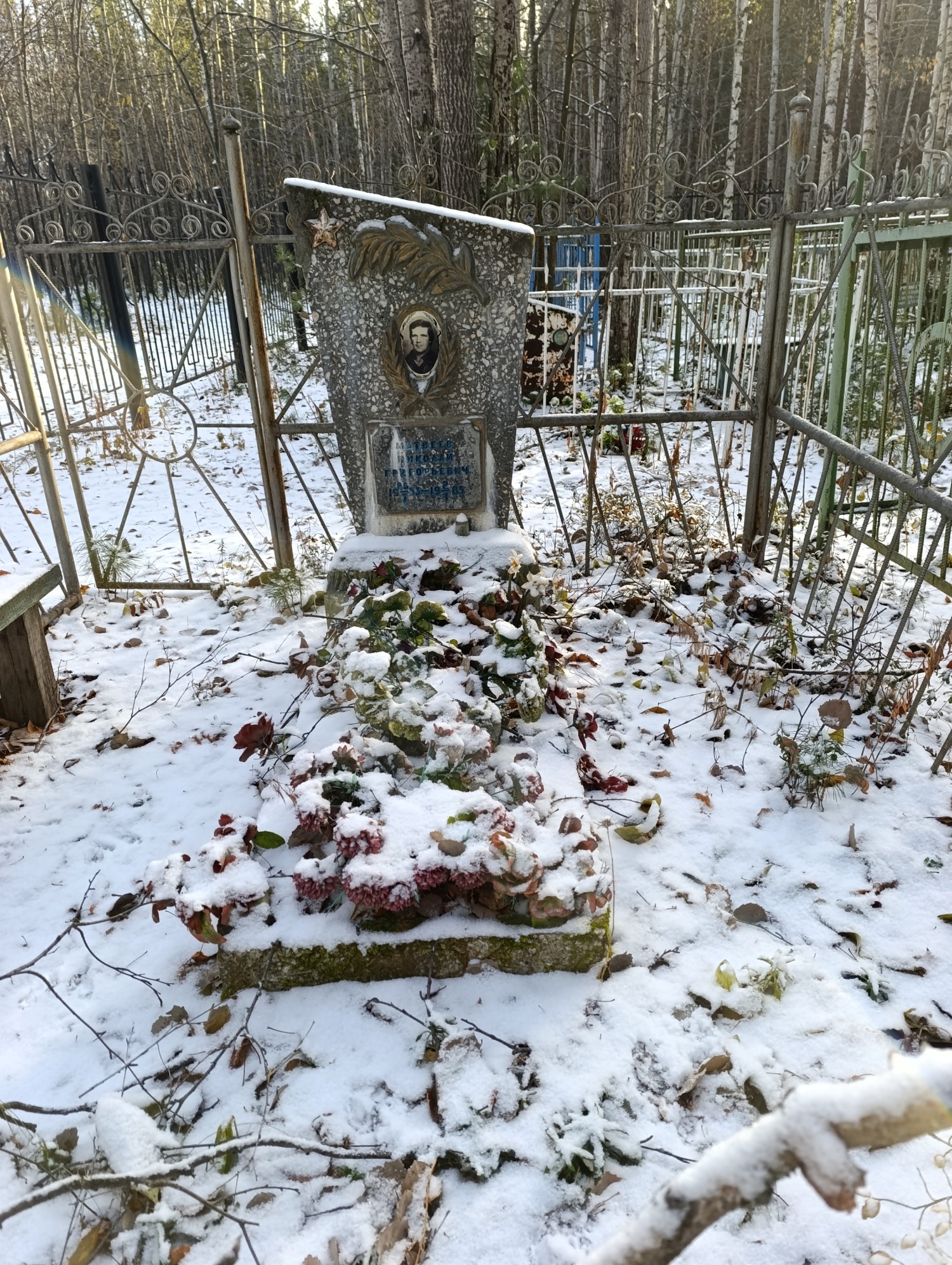 Матвеев Николай Григорьевич