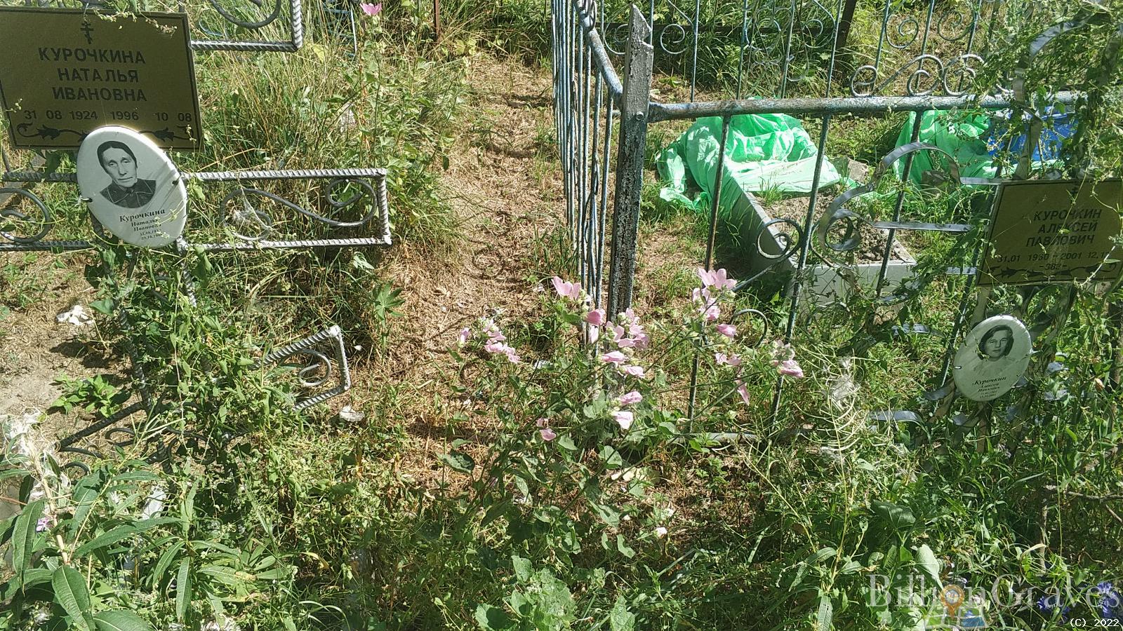 Курочкина Наталья Ивановна