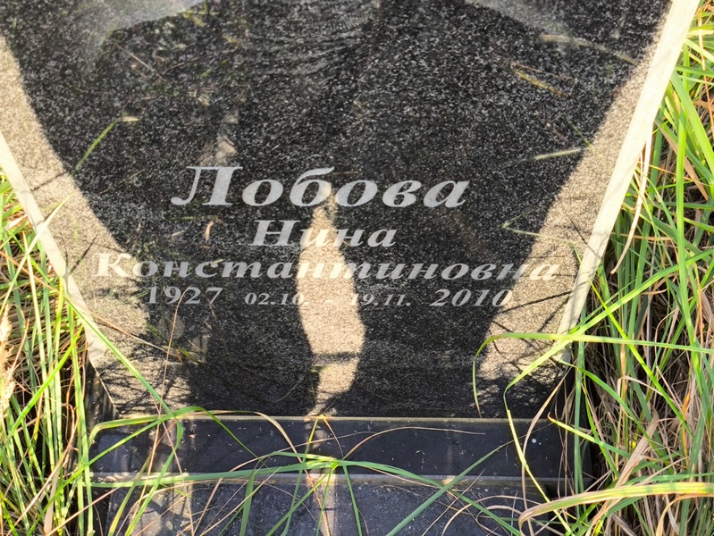 Лобова