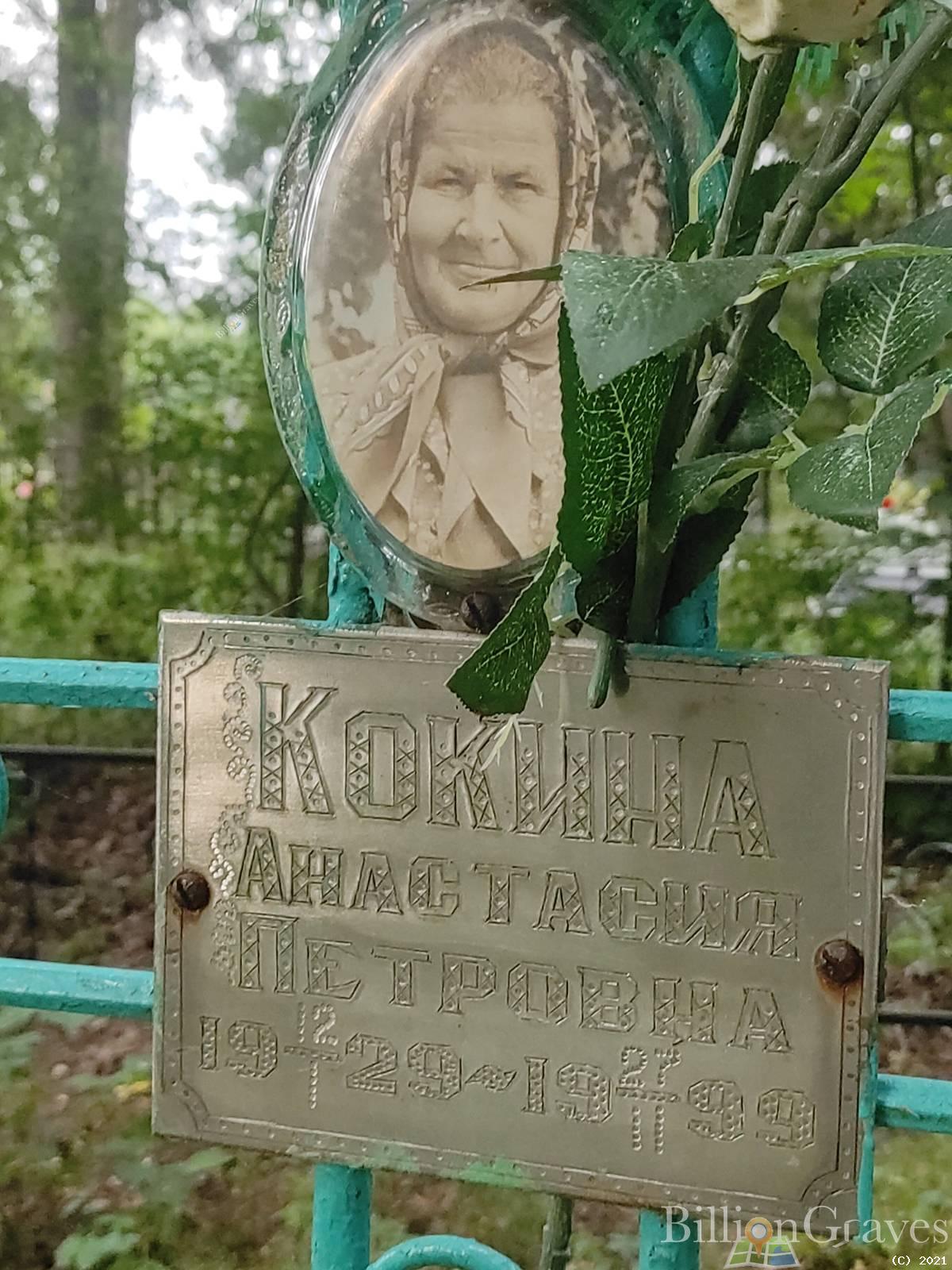Кокина Анастасия Петровна
