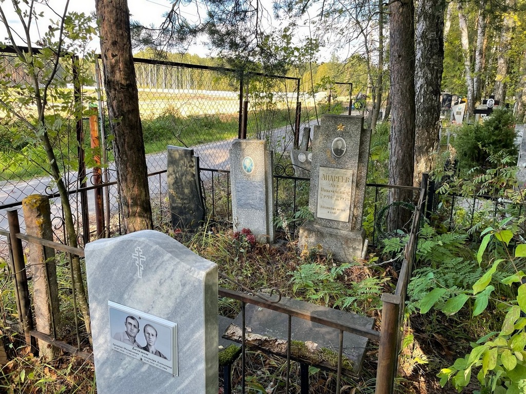 Андреева Екатерина Николаевна