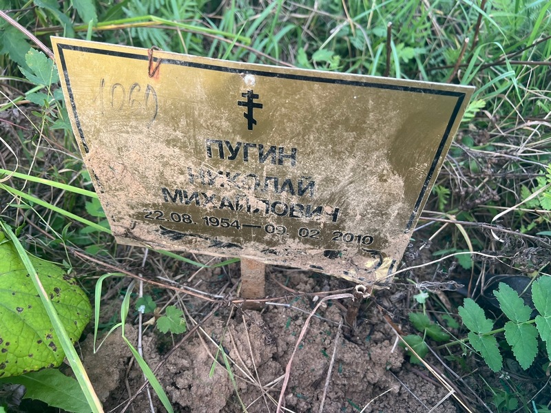Пугин