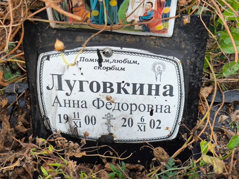 Луговкина
