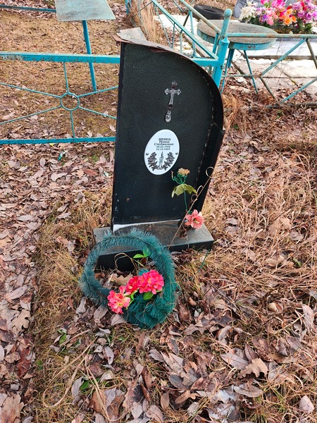 Шеина Ирина Степановна