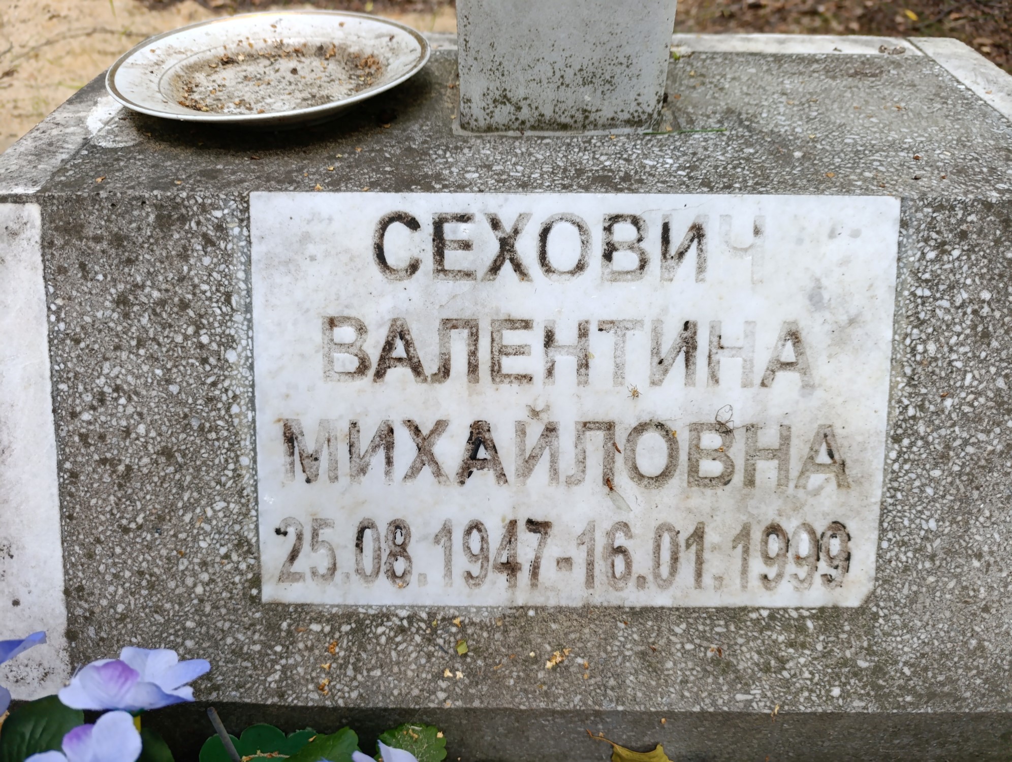 Сехович Валентина Михайловна