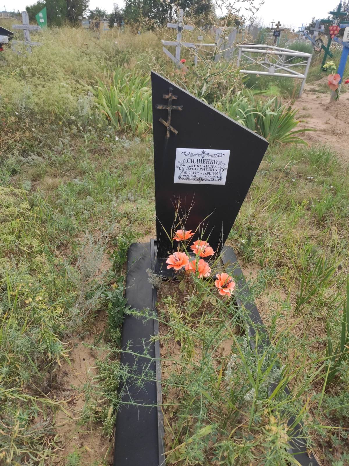 Сидненко Александра Дмитриевна