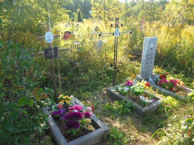Цокало Сергей Александрович