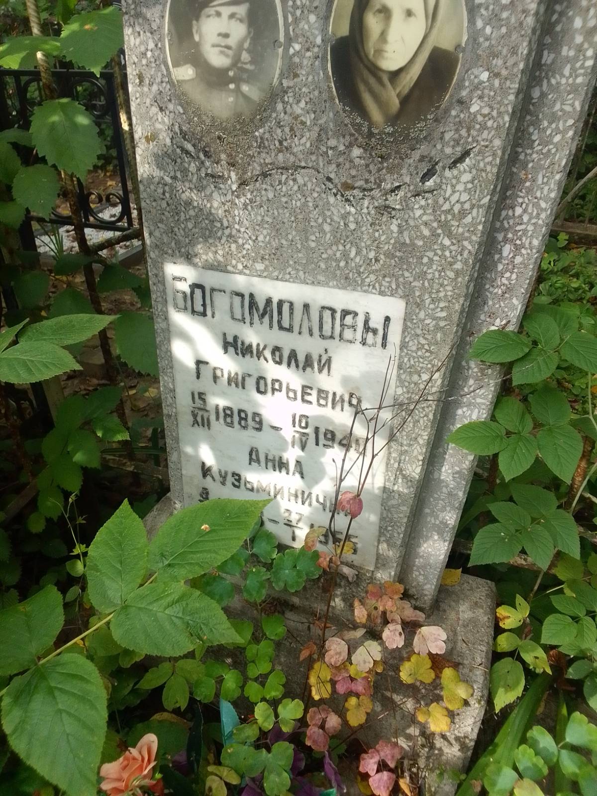 Богомолов Николай Григорьевич
