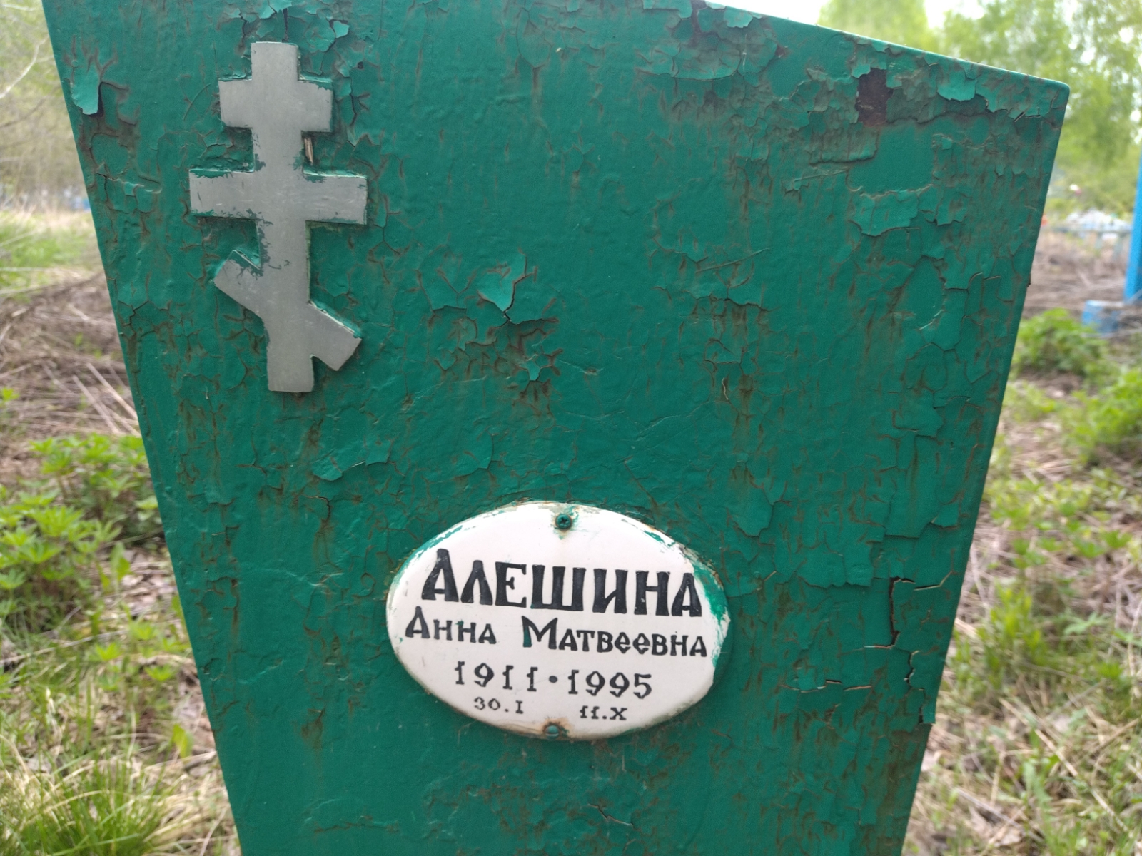Алешина Анна Матвеевна