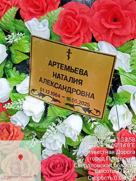 Артемьева Наталия Александровна