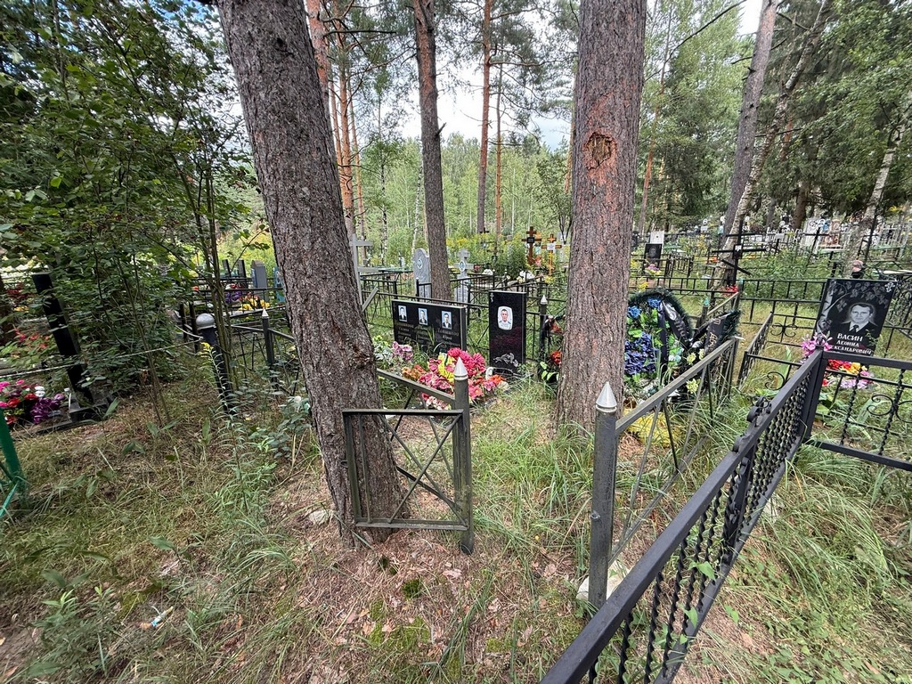 Лапшинов Юрий Александрович