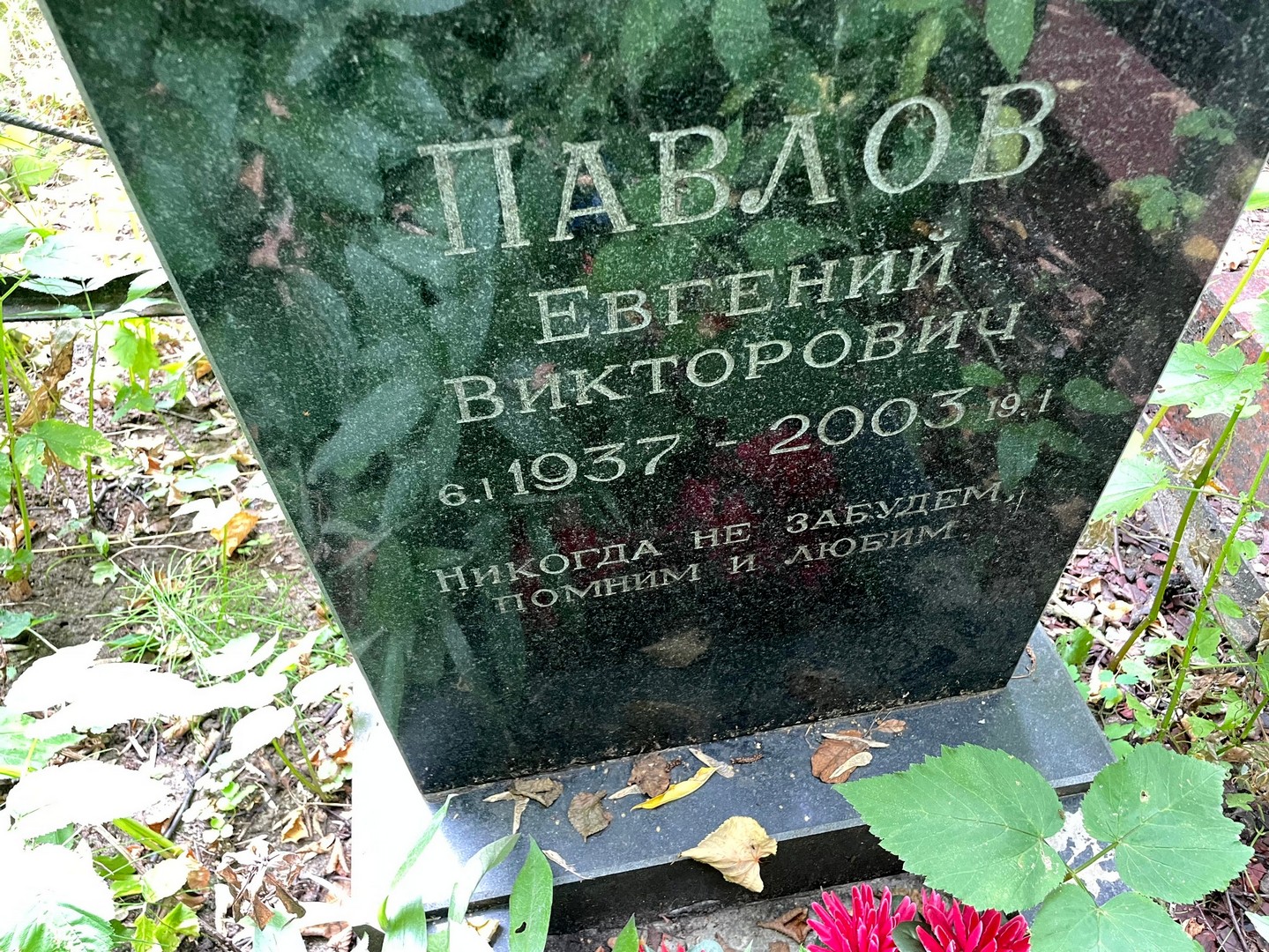 Павлов