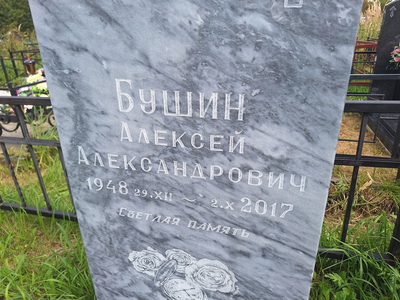 Бушин